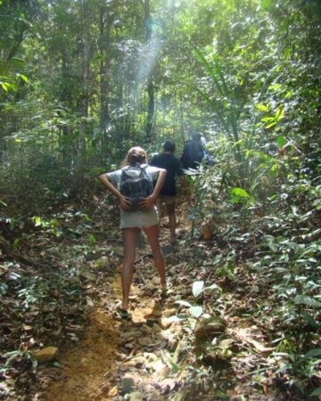 Langkawi Morning Rainforest Walking