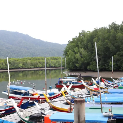 junglewalla-malaysia-langkawi (1)