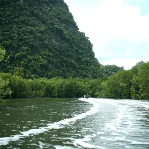 junglewalla-malaysia-langkawi (10)