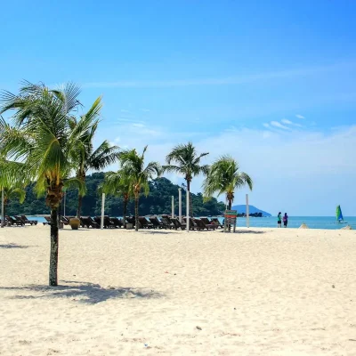 junglewalla-malaysia-langkawi (11)