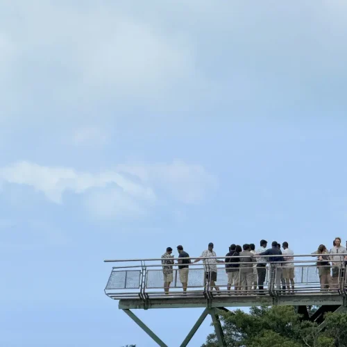 junglewalla-malaysia-langkawi (12)