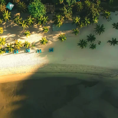 junglewalla-malaysia-langkawi (12)