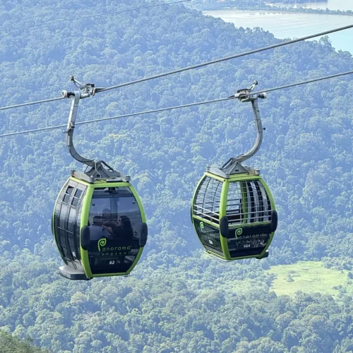 Car over tropical rainforest canopy, an iconic part of a Junglewalla Malaysia Tour