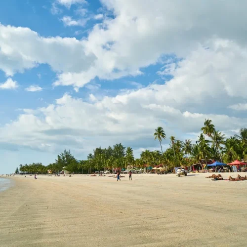 junglewalla-malaysia-langkawi (16)