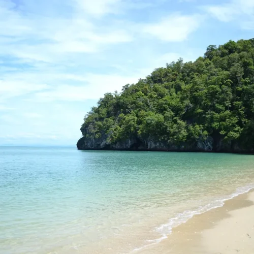 junglewalla-malaysia-langkawi (18)