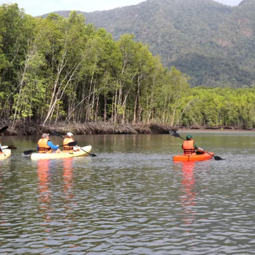 junglewalla-malaysia-langkawi (2)