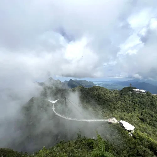 junglewalla-malaysia-langkawi (21)