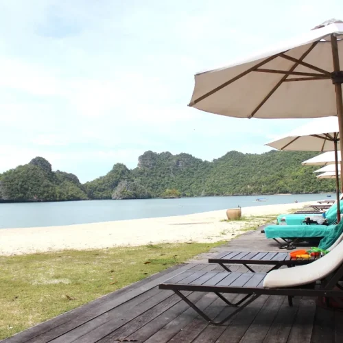 junglewalla-malaysia-langkawi (22)