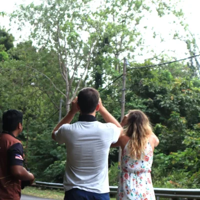 junglewalla-malaysia-langkawi (24)