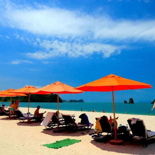 junglewalla-malaysia-langkawi (24)