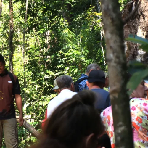 junglewalla-malaysia-langkawi (26)