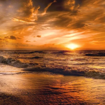 junglewalla-malaysia-langkawi (26)