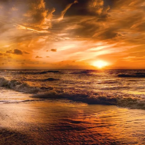 junglewalla-malaysia-langkawi (26)