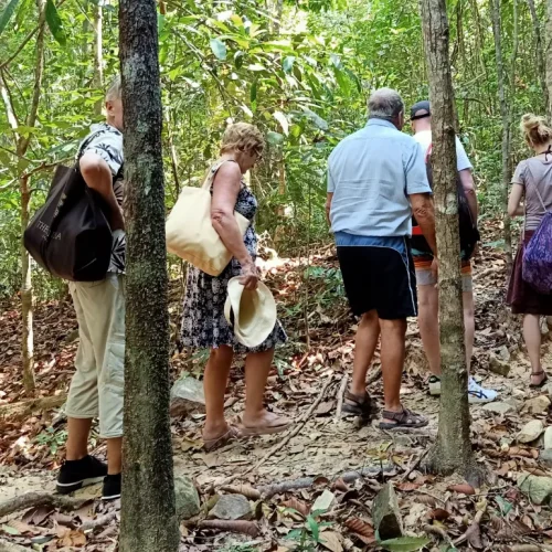 Tourists and guide on a jungle trekking path during a Langkawi Nature Tour, highlighting a Junglewalla Malaysia experience