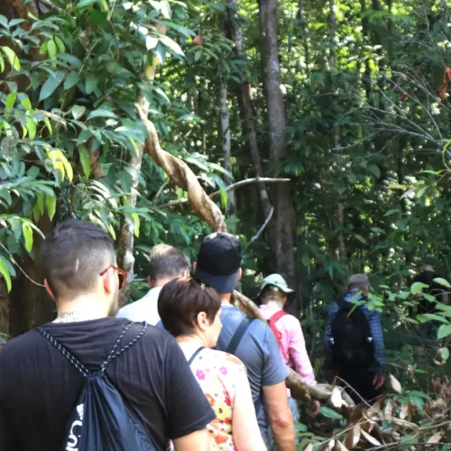 junglewalla-malaysia-langkawi (28)