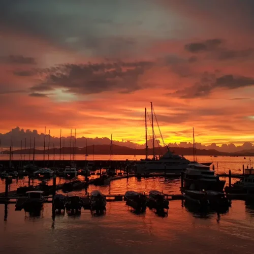 junglewalla-malaysia-langkawi (32)