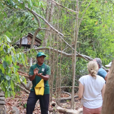 junglewalla-malaysia-langkawi (4)