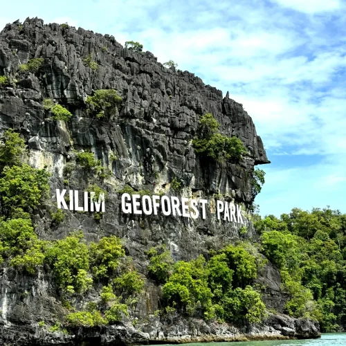 junglewalla-malaysia-langkawi (4)