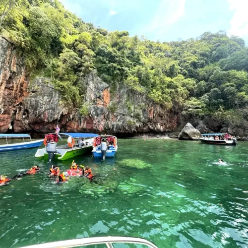 Tourists swimming near jungle-covered cliffs during a Langkawi Island Hopping Malaysia Tour by Junglewalla