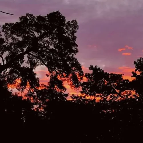 junglewalla-malaysia-langkawi (44)