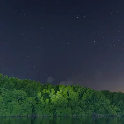 junglewalla-malaysia-langkawi (90)