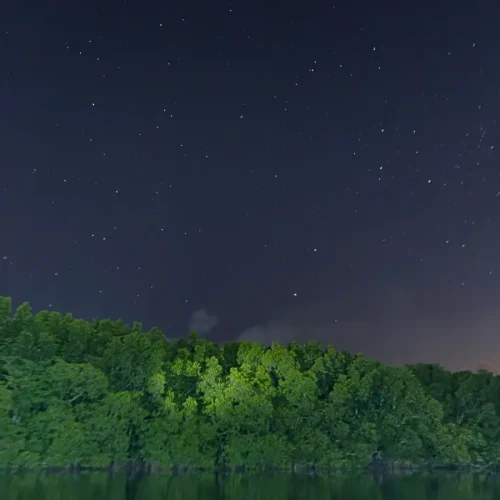 junglewalla-malaysia-langkawi (90)